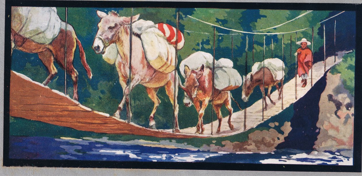 驴子驮着物资穿过索桥，插图来自 Gladys Davidson 的《Helpers Without Hands》，1919 年出版（彩色平版印刷） 作者 约翰·埃德温·诺布尔
