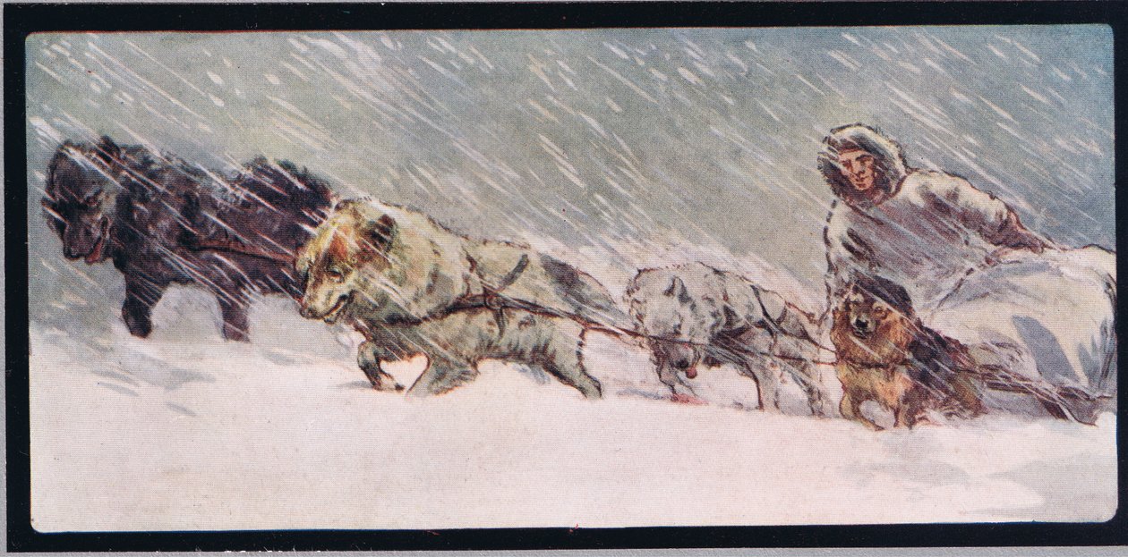 哈士奇拉雪橇，格拉迪斯·戴维森 (Gladys Davidson) 的《Helpers Without Hands》插图，1919 年出版（彩色平版印刷） 作者 约翰·埃德温·诺布尔
