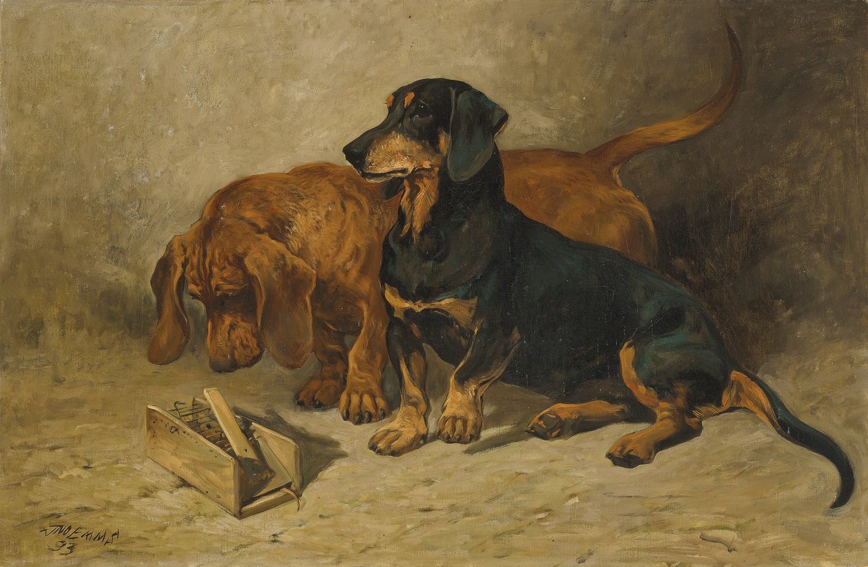腊肠犬，1993 作者 约翰·艾姆斯