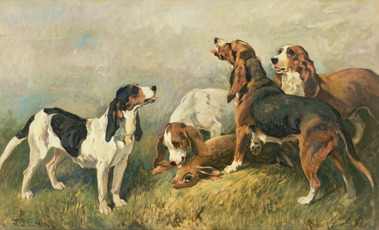 猎犬的猎犬 作者 约翰·艾姆斯