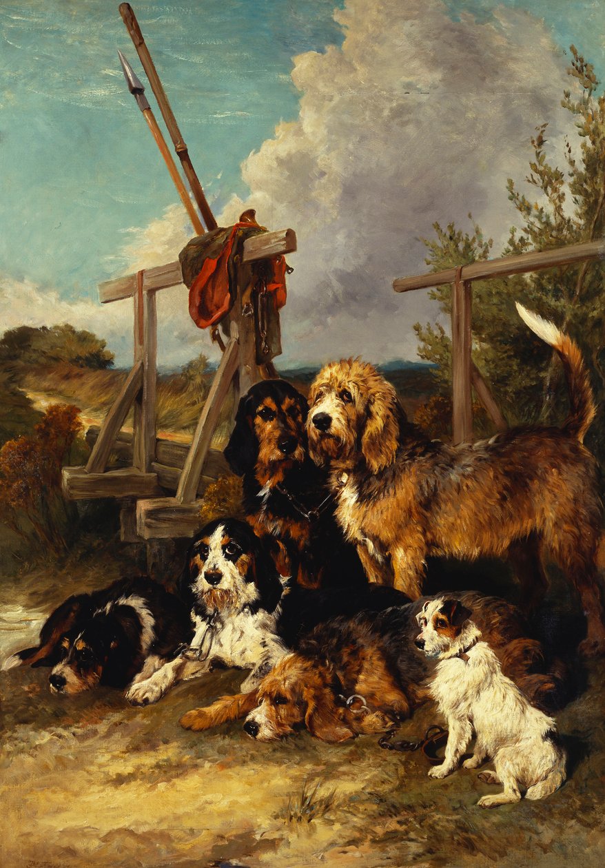水獭猎犬被一座桥-累了，1881年 作者 约翰·艾姆斯