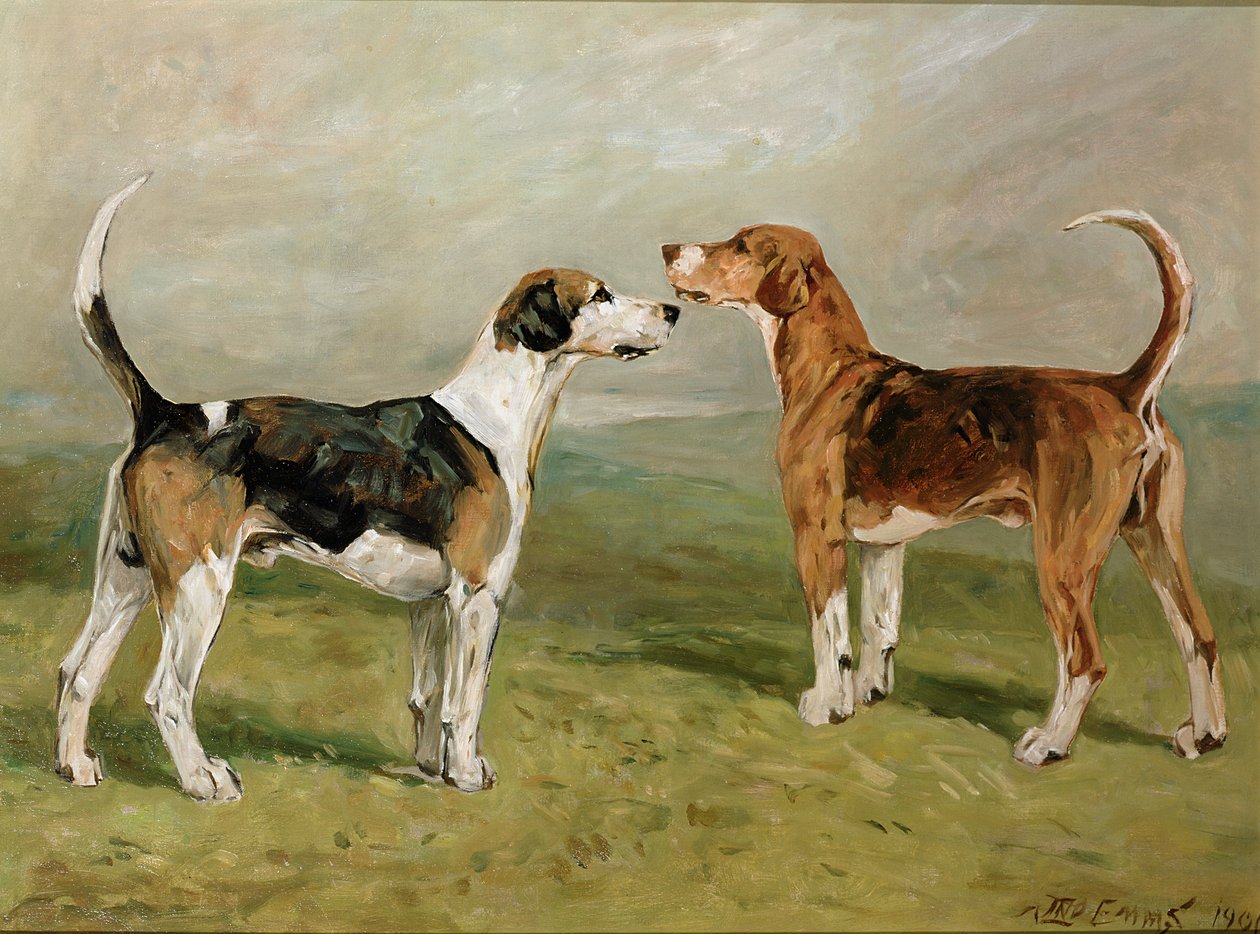 在景观中的两只猎犬 作者 约翰·艾姆斯