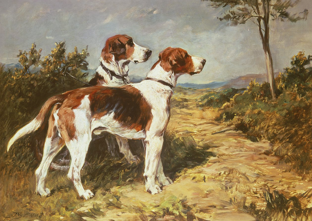 在景观中的两只猎犬 作者 约翰·艾姆斯