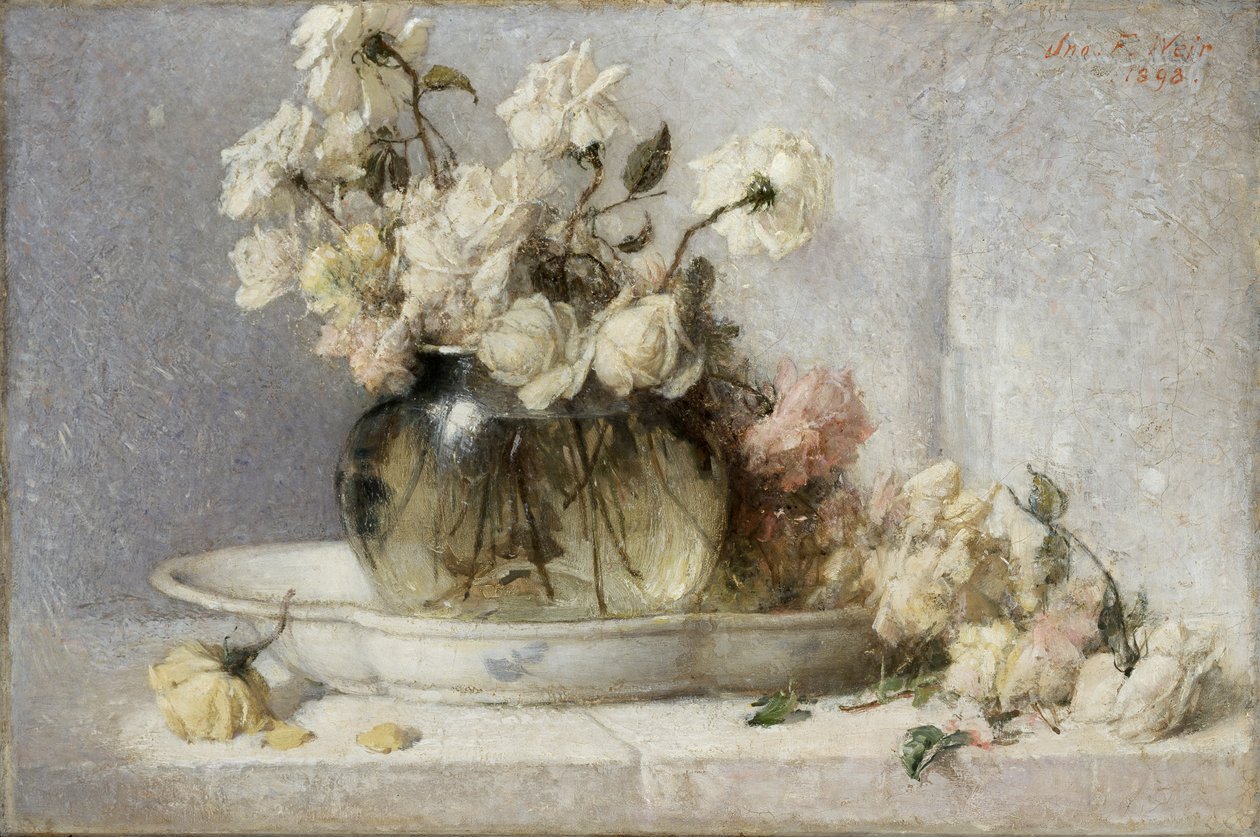 玫瑰花，1898年。 作者 约翰弗格森堰