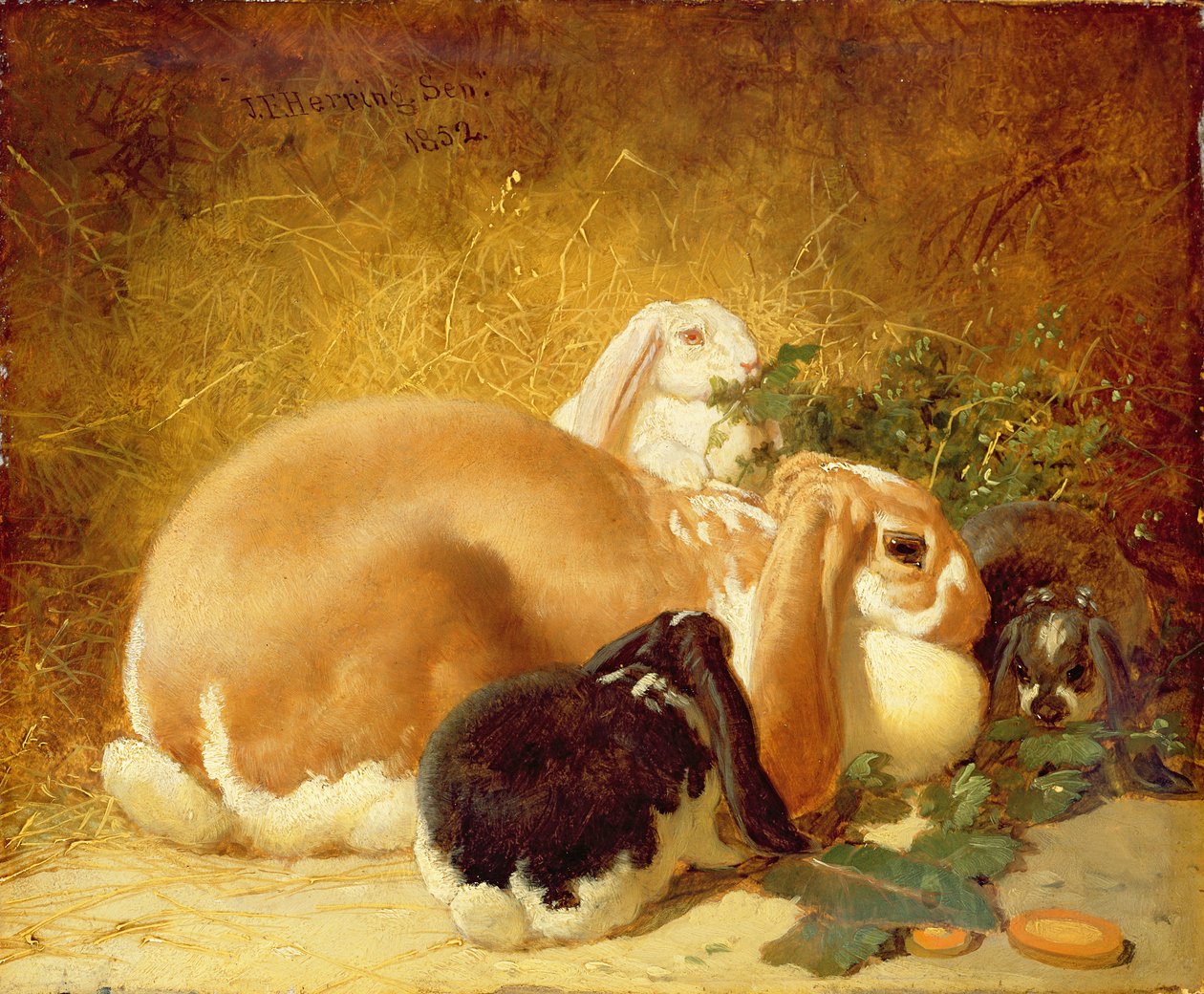 兔子，1852年 作者 约翰·弗雷德里克·鲱鱼少年