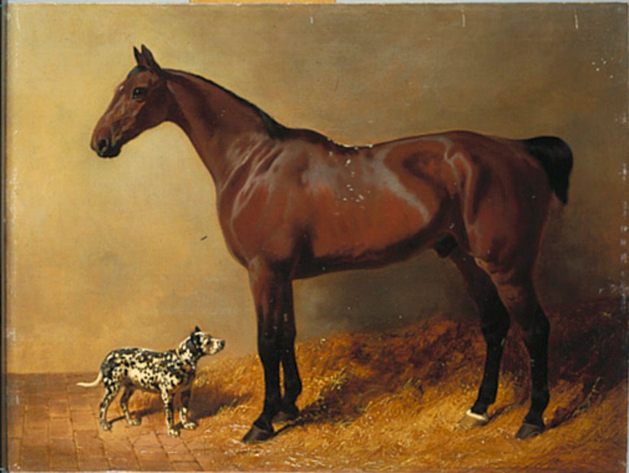 海湾猎人和内部稳定的斑点狗，1846年 作者 老约翰弗雷德里克鲱鱼