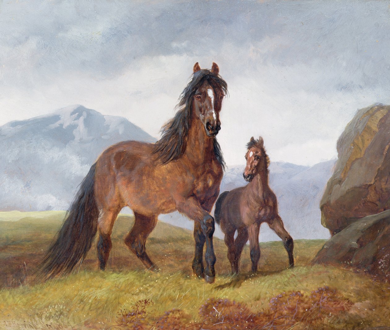 威尔士山脉母马和小马驹，1854年（小组） 作者 老约翰弗雷德里克鲱鱼