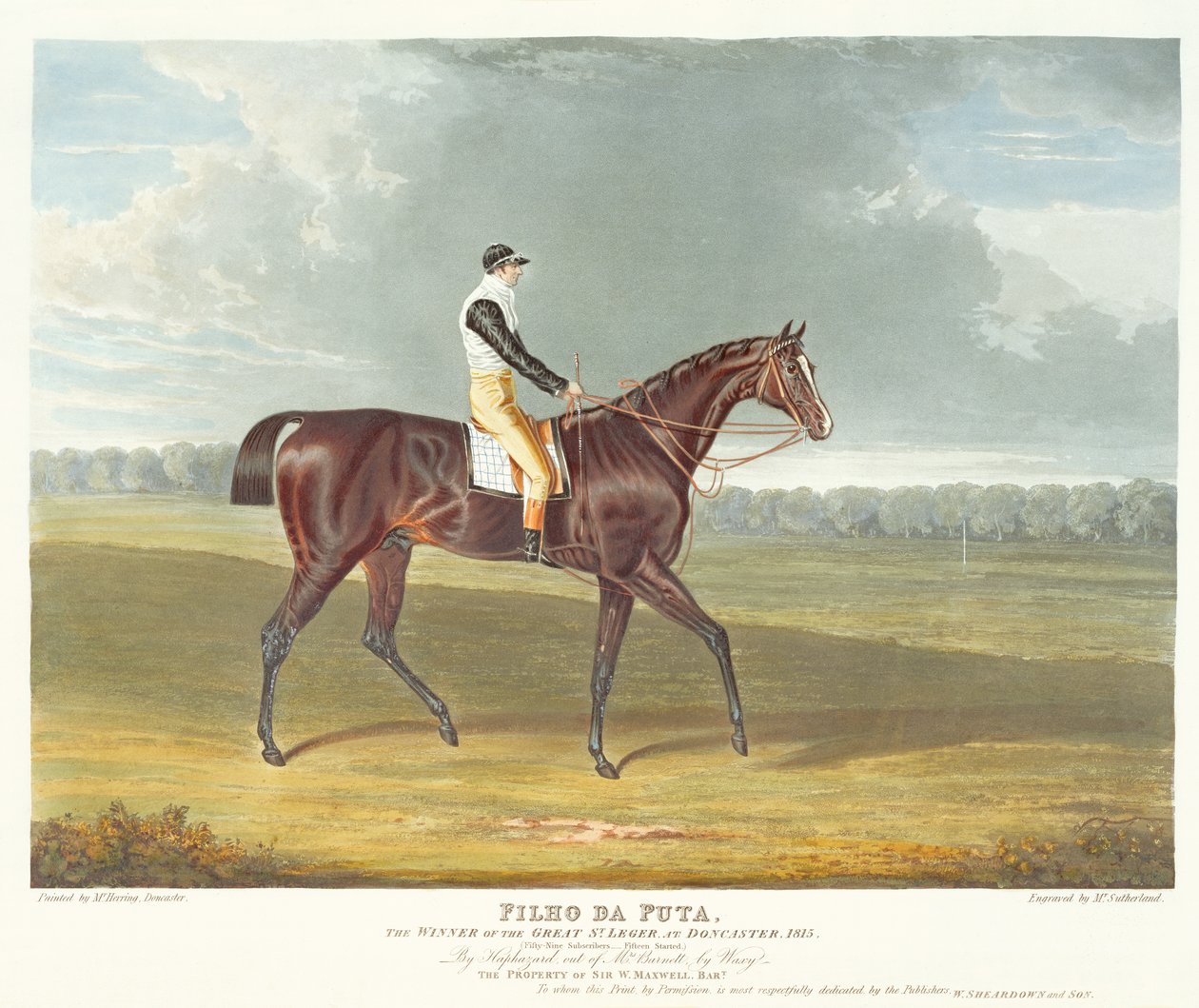 &39;Filho da Puta&39;，1815年，唐卡斯特的Great St. Leger的获奖者，由Thomas Sutherland（bc1785）雕刻，酒吧。作者：W。Sheardown und Son（aquatint） 作者 老约翰弗雷德里克鲱鱼