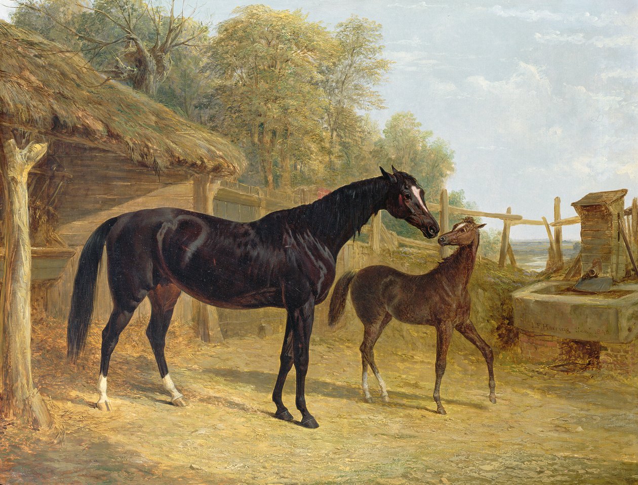 Levity，JCCockerill Esq。的财产，与她的驹女王伊丽莎白，多切斯特勋爵的财产，1843年 作者 老约翰弗雷德里克鲱鱼
