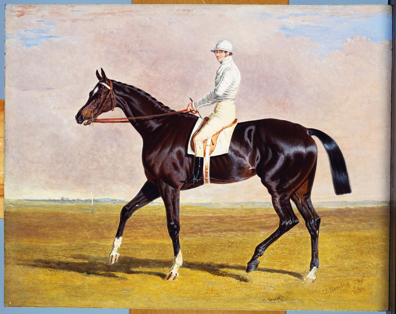 Lucetta”和J. Robinson Up一起，1834年 作者 老约翰弗雷德里克鲱鱼
