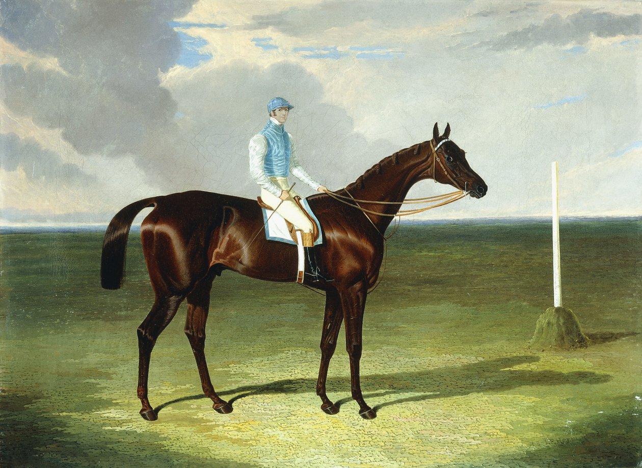 夫人Ridsdale和Gully的St. Giles与William Scott一起，1832年 作者 老约翰弗雷德里克鲱鱼