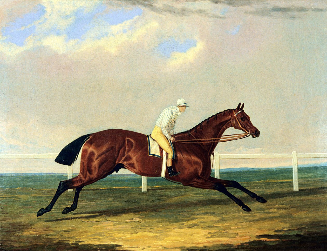 乔治·纳尔逊 (George Nelson) 骑乘的“塔拉尔 (Tarrare)”（布面油画） 作者 老约翰弗雷德里克鲱鱼