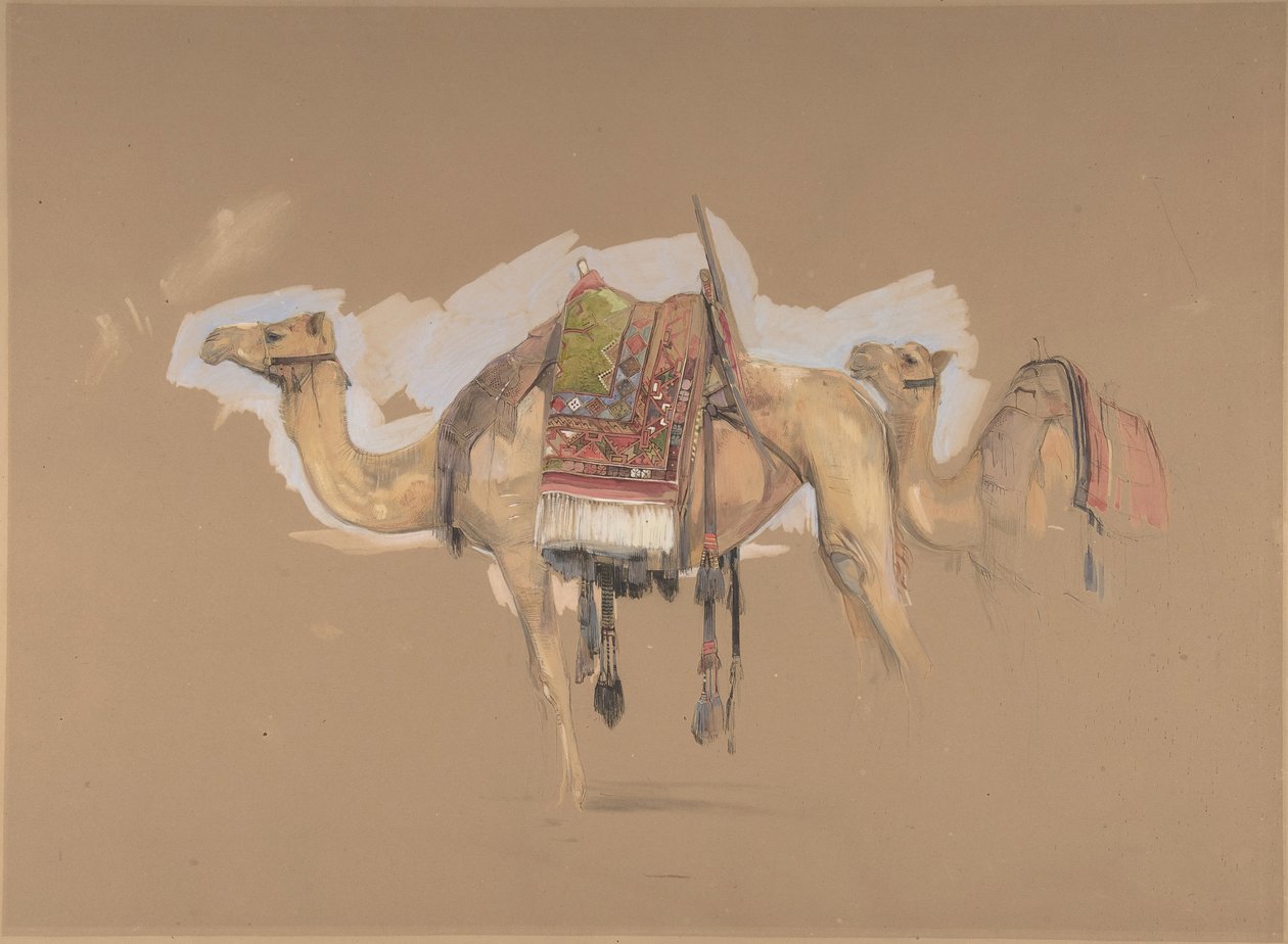 两只骆驼，约1843年。 作者 约翰·弗雷德里克·刘易斯