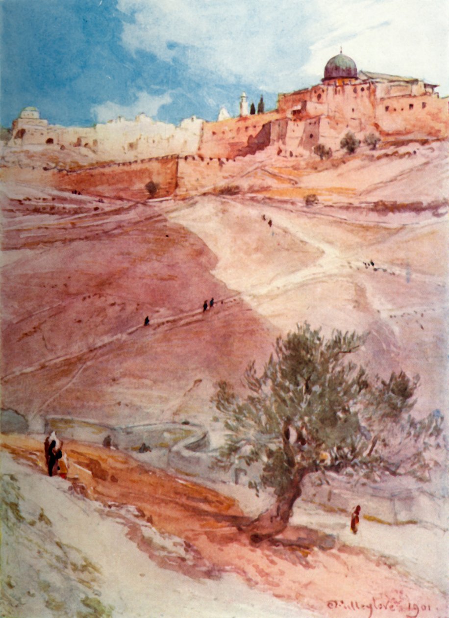 耶路撒冷南墙，始于Siloam村北端，1902年。 作者 约翰·富利洛夫