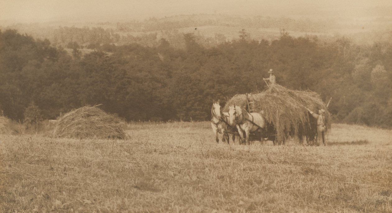 装载干草，1890-1900 年（照片） 作者 约翰·G·布洛克
