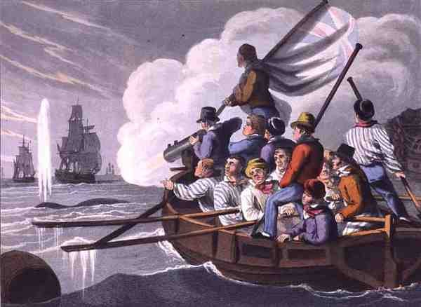 向鲸鱼发射鱼叉，由Matthew Dubourg（约1785-1820年）雕刻，由Edward Orme出版。 作者 约翰·海维赛德（后）克拉克