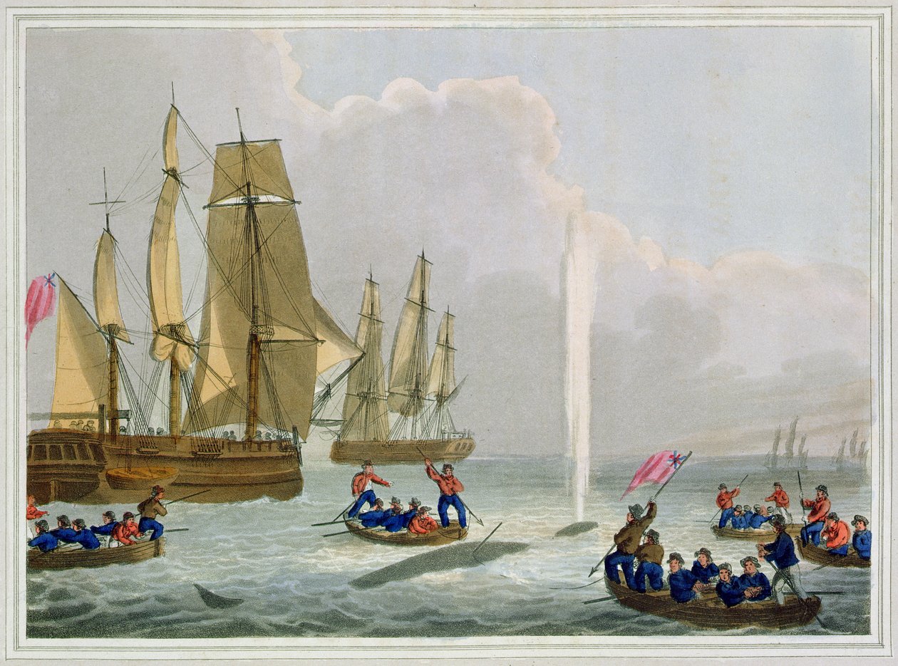 接近鲸鱼的船，由Matthew Dubourg（1785-1820）雕刻，由Edward Orme出版，1813年 作者 约翰·海维赛德·克拉克