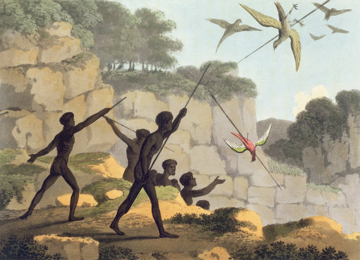 投掷矛，原住民来自新南威尔士州的狩猎鸟，由Matthew Dubourg（1813-1820）酒吧雕刻。 1813 作者 约翰·海维赛德·克拉克