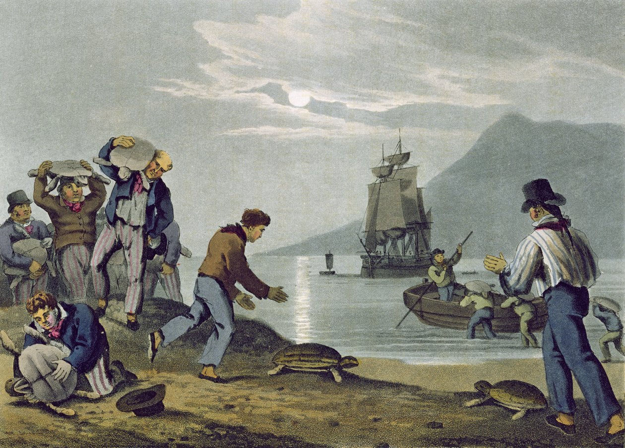 海龟捕捞，由Matthew Dubourg（1785-1820）刻，由Edward Orme出版，1813年 作者 约翰·海维赛德·克拉克
