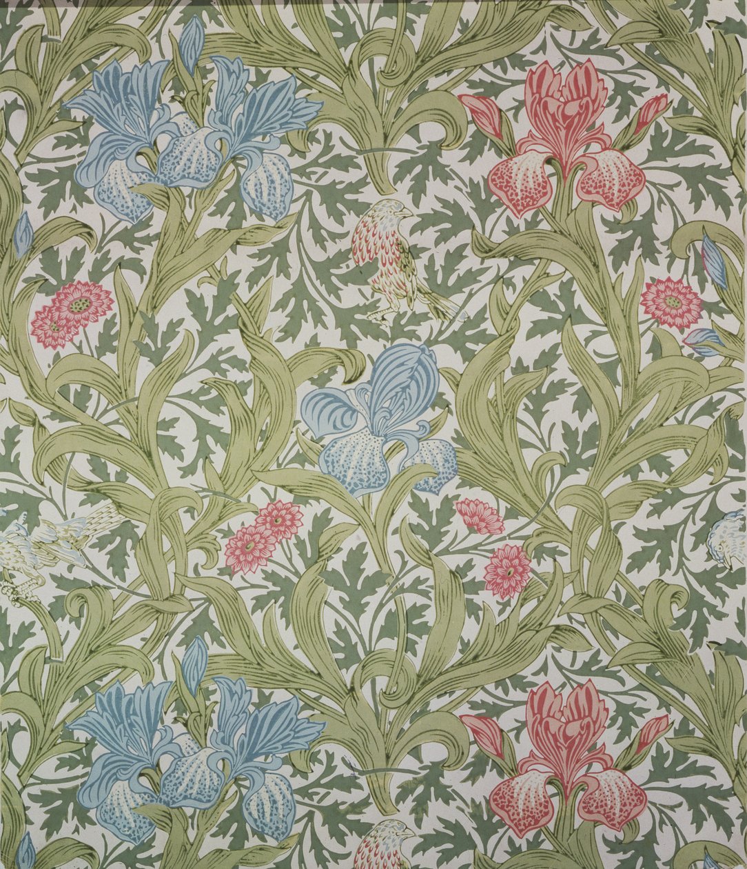 Iris壁纸，由John Henry Dearle（1860-1932）为莫里斯公司设计，1902年 作者 约翰·亨利·迪尔