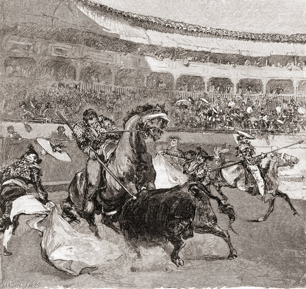 来自西班牙塞维利亚的斗争，来自1884年出版的“世纪画报月刊”（木版画） 作者 约翰·亨利·埃尔斯沃思·惠特尼