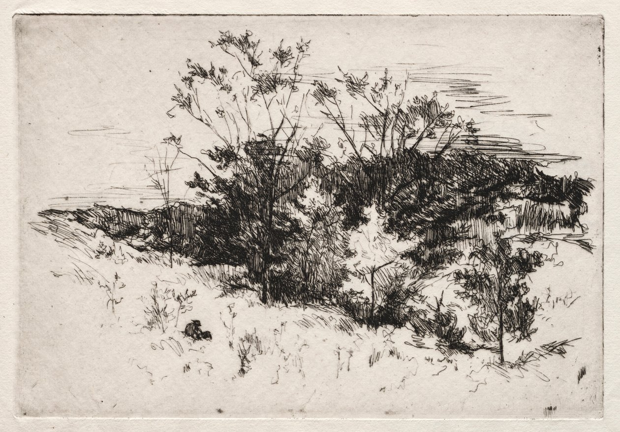 秋天风景，1879-80。 作者 约翰·亨利·特瓦特曼