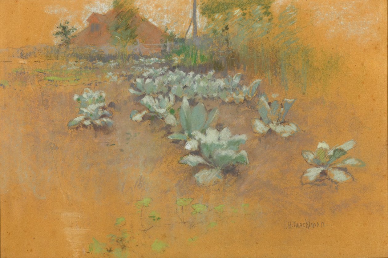 烟草补丁，约1895-1899（棕色纸上的粉彩画） 作者 约翰·亨利·特瓦特曼
