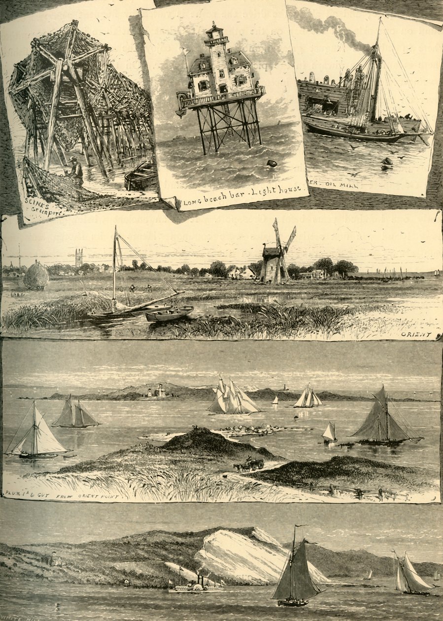东长岛风景》，1872年。   作者 约翰·J·哈雷