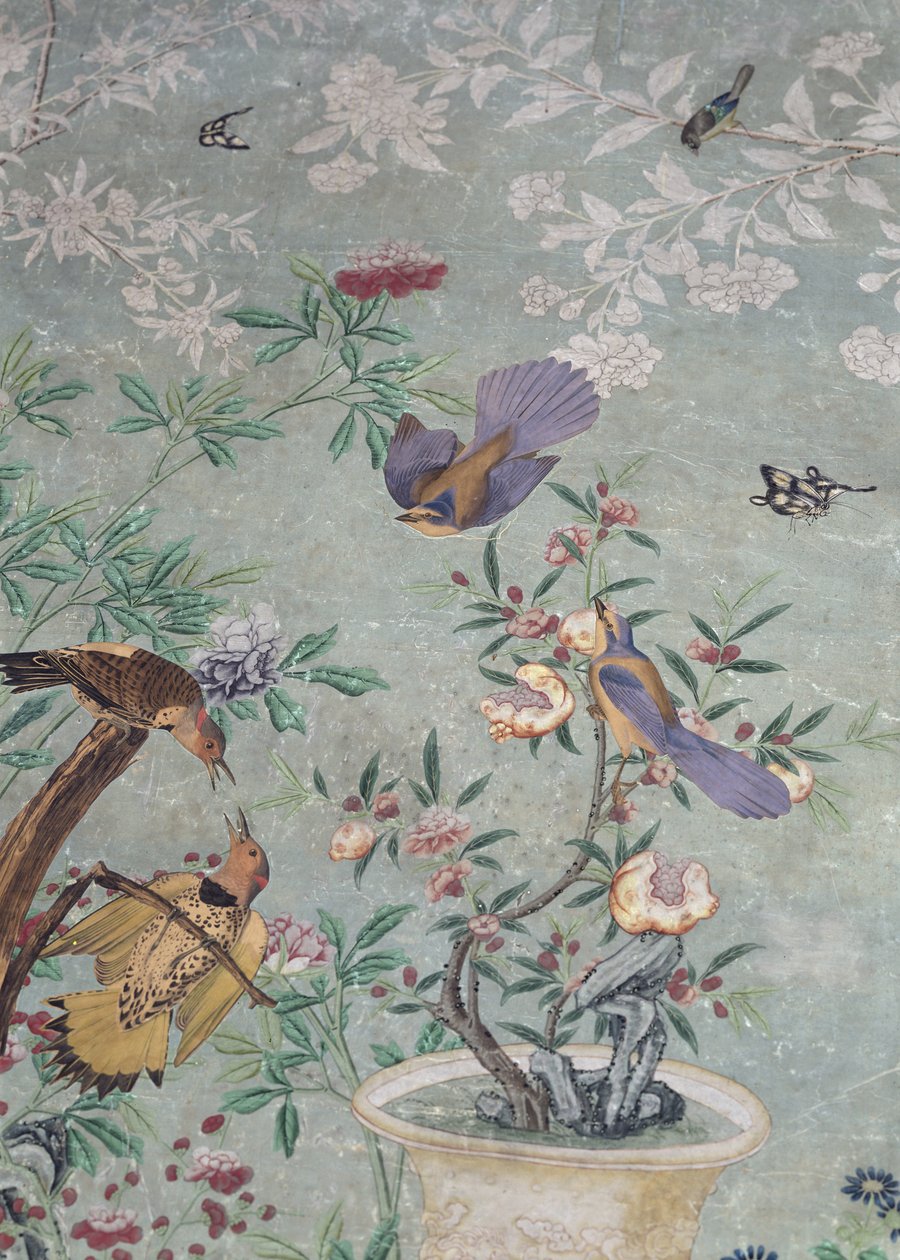 一只黄色的轴流鸟，从《美国的鸟》中剪下来，贴在手绘的中国墙纸上（拼贴）。 作者 约翰·詹姆斯·奥杜邦