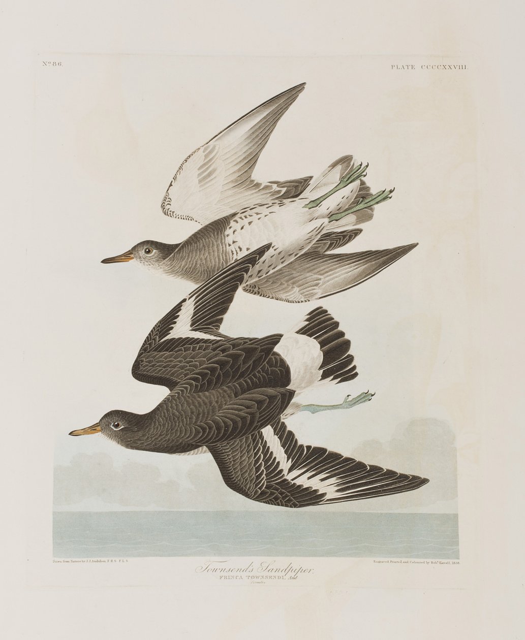 Illustration from 