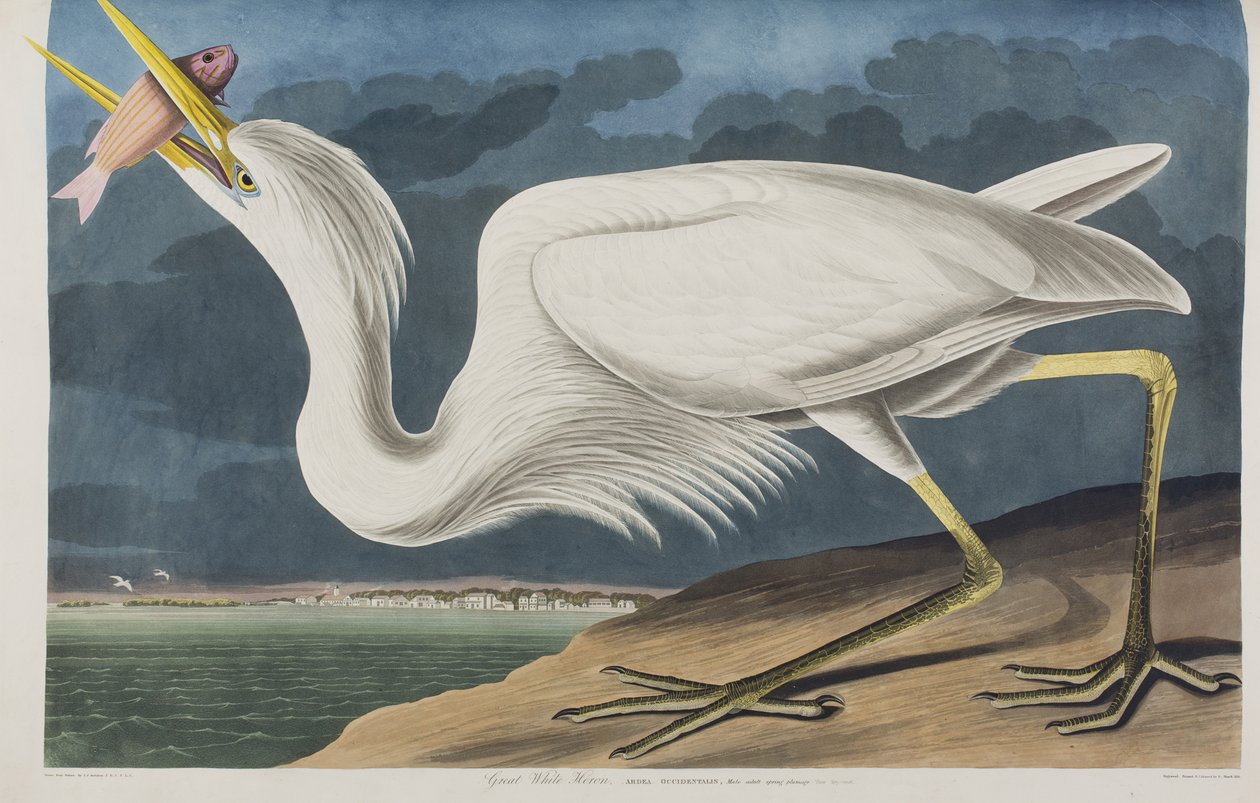Illustration from 