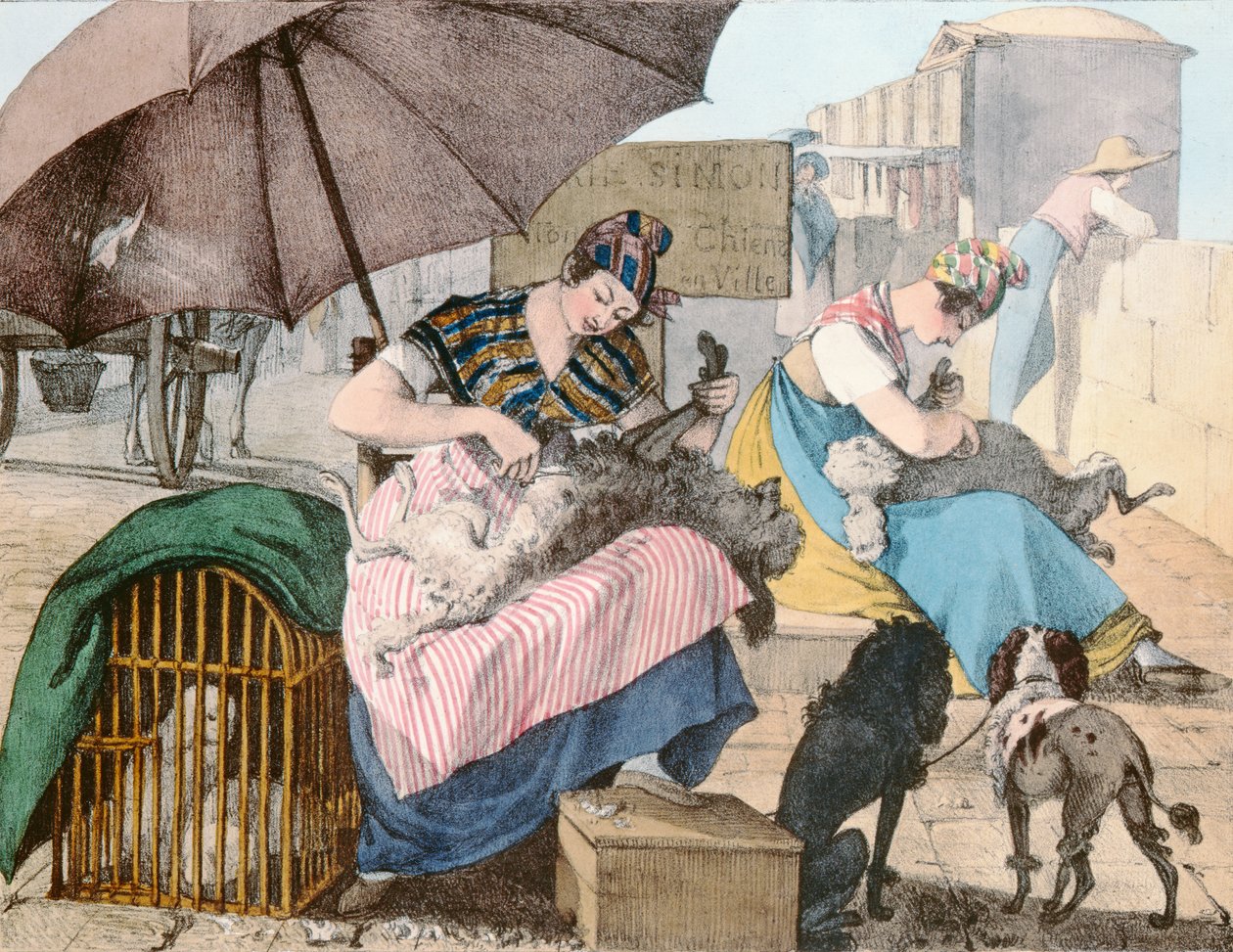 The Dog Groomers，1820 作者 约翰·詹姆斯·沙隆