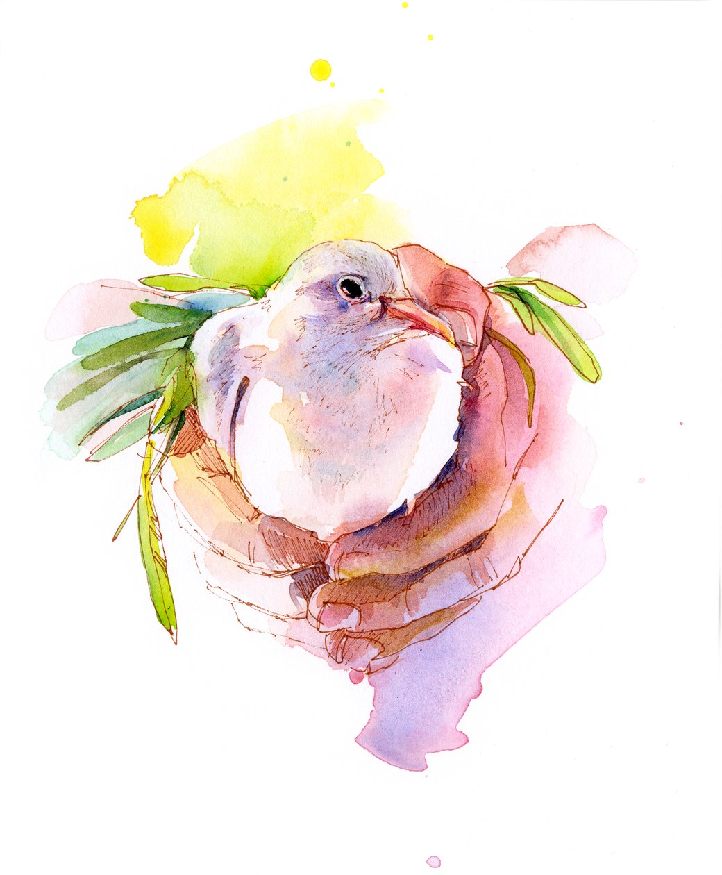 和平鸽，2016年，（水彩画） 作者 约翰·基林