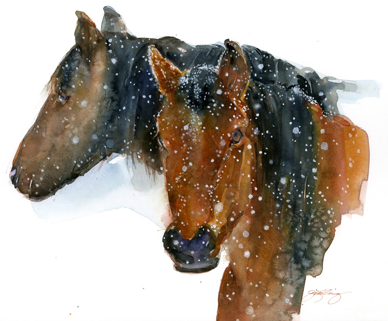 2015年冬季马（水彩画） 作者 约翰·基林