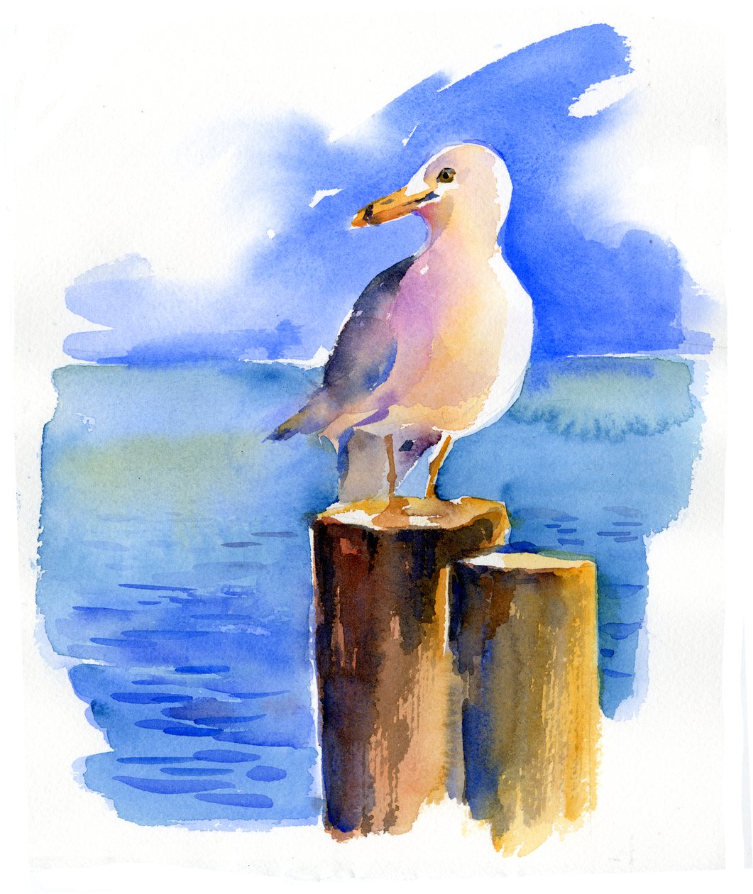 码头上的海鸥，2014年，（水彩画） 作者 约翰·基林
