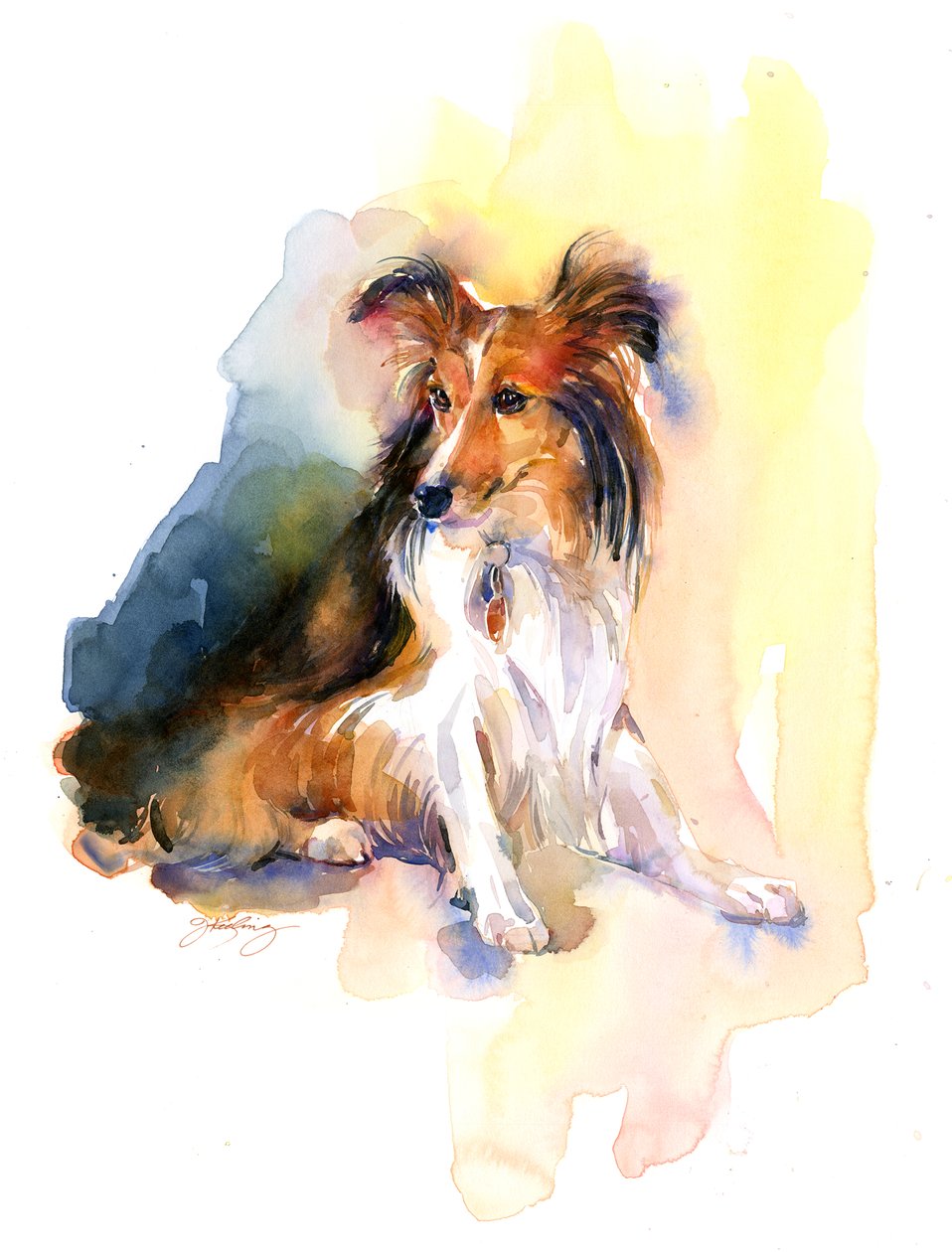 Sheltie肖像，2015年，（水彩画） 作者 约翰·基林