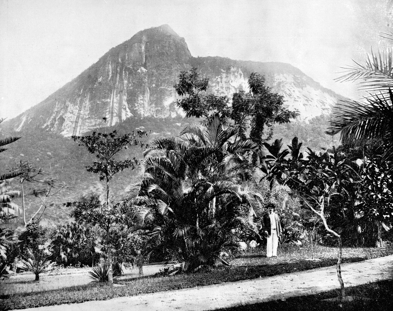 巴西里约热内卢植物园和科科瓦多山，1893年。 作者 约翰·斯托达德