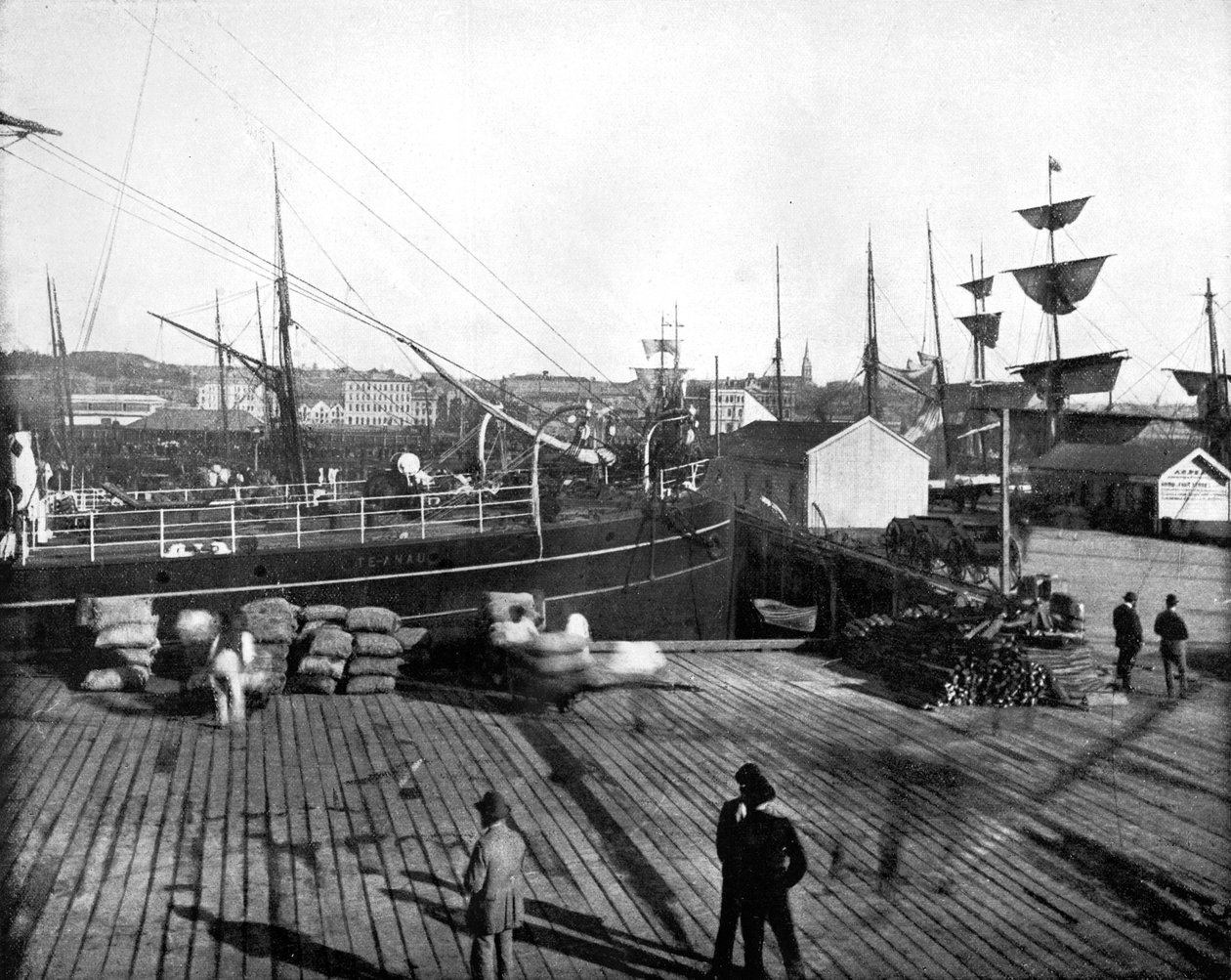 新西兰奥克兰港，1893年。 作者 约翰·斯托达德