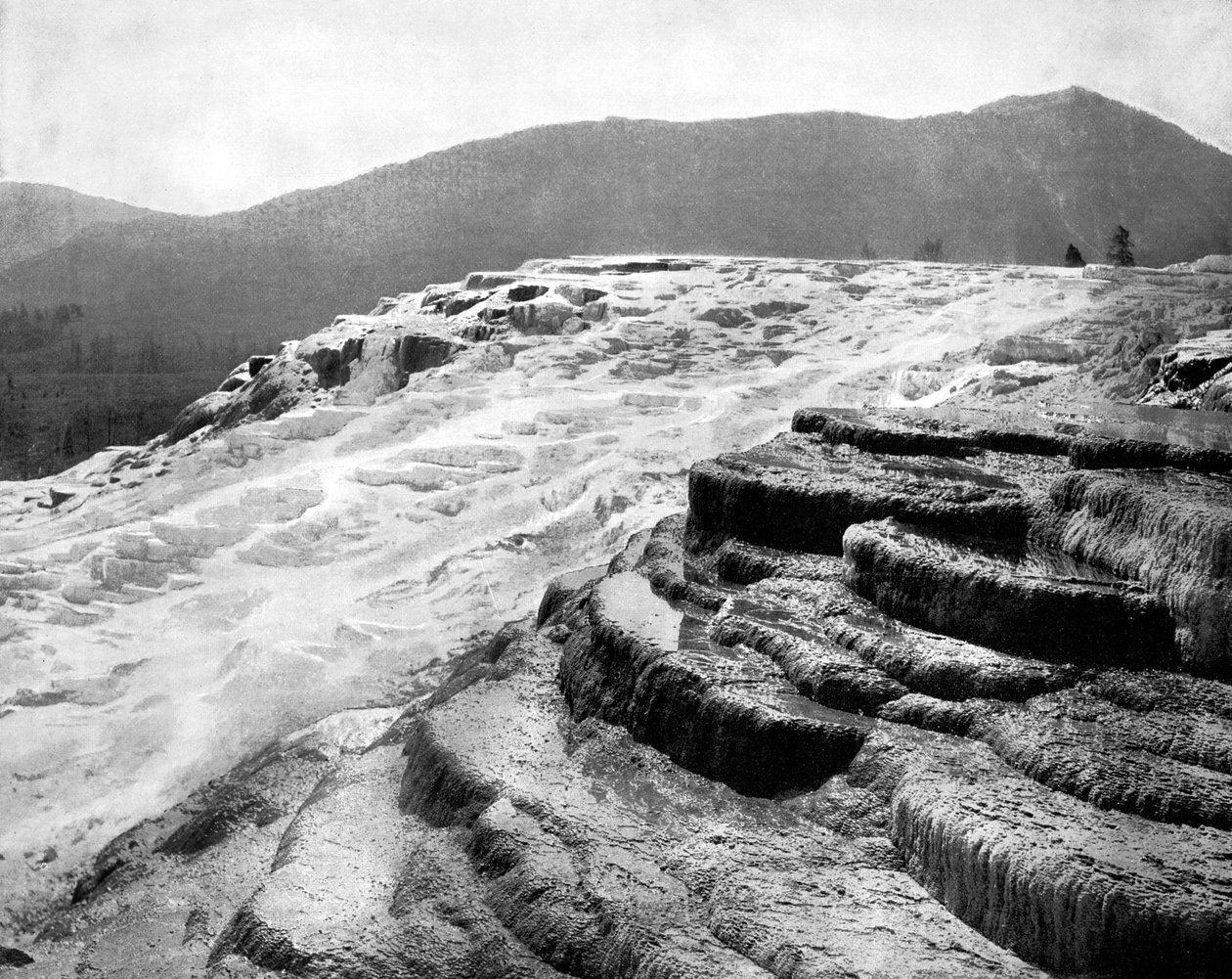 猛mm温泉，美国黄石国家公园，1893年。 作者 约翰·斯托达德