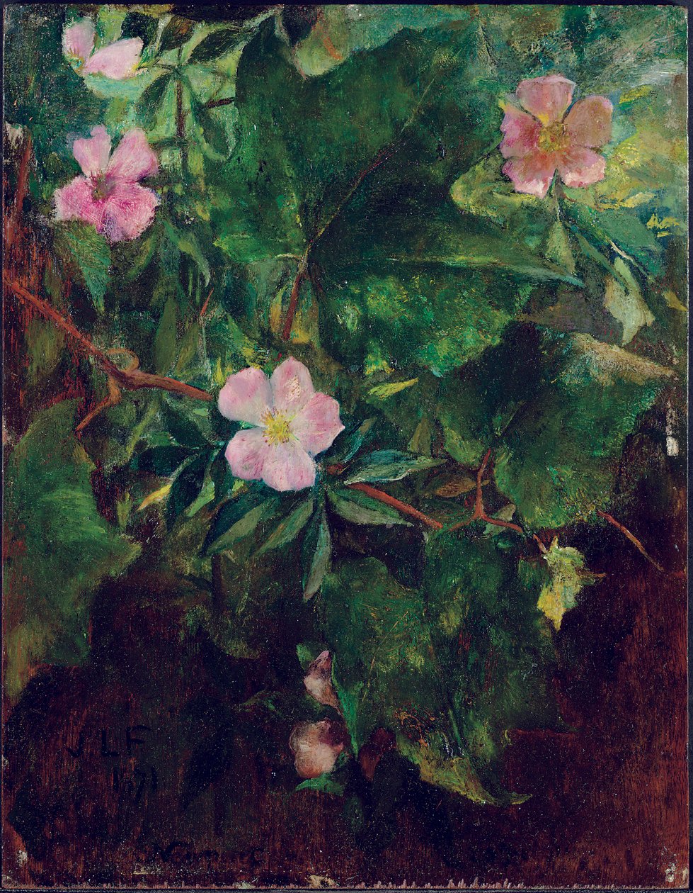 《野玫瑰与葡萄树》，《自然研究》，1871年 作者 John La Farge或Lafarge