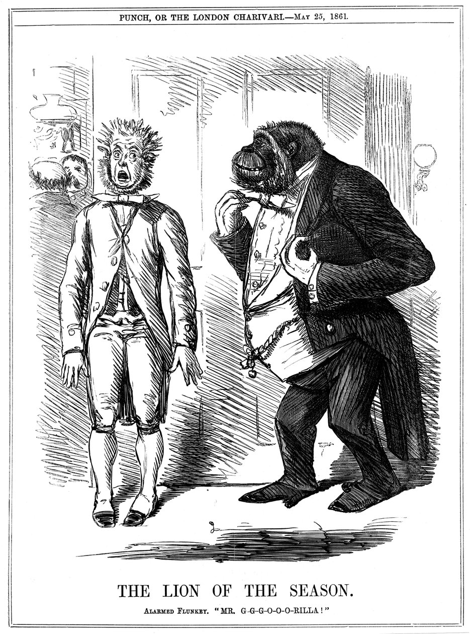 本赛季的狮子，1861年 作者 约翰·里奇