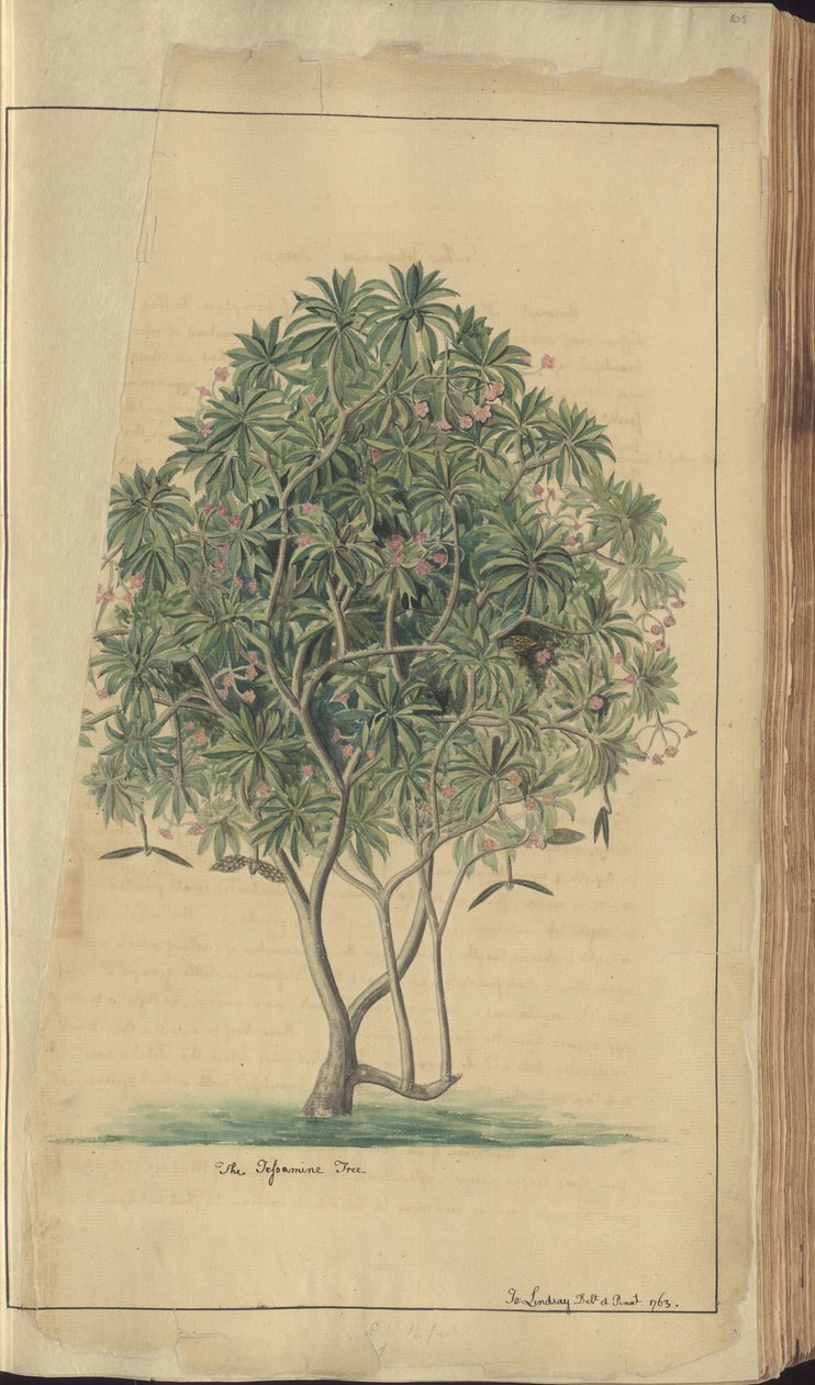 A page from the 