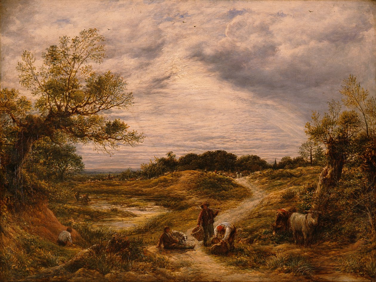 汉普斯特德希思，c.1855-56（布面油画） 作者 约翰·林内尔