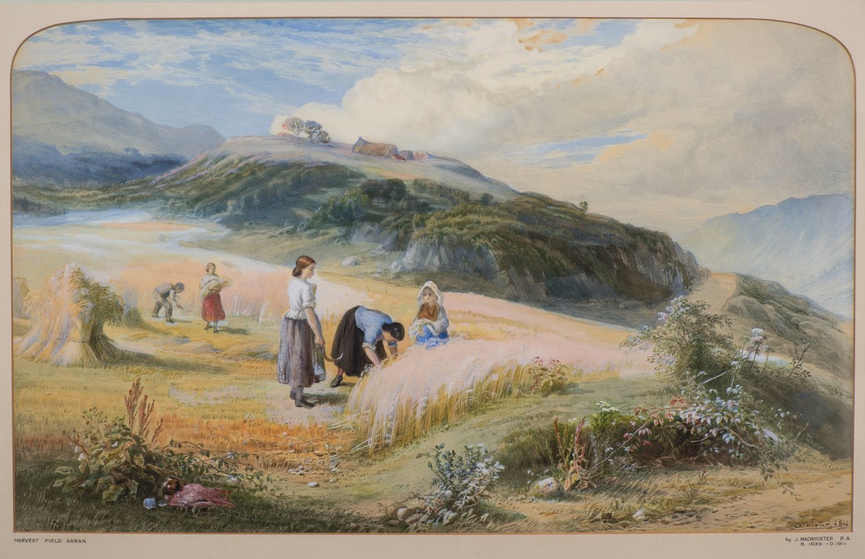 Harvest Field, Arran 作者 约翰·麦克维尔特