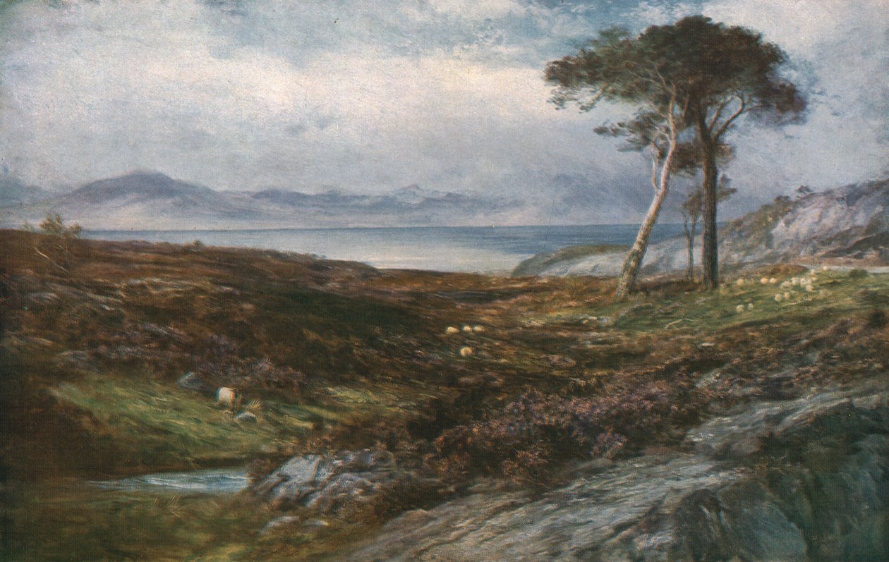 希瑟：苏格兰高地，c1910，c1930。 作者 约翰·麦克维尔特