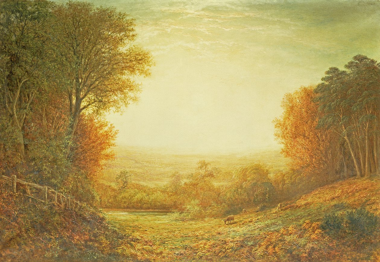 1862年在汉普斯特德荒地（Hampstead Heath）或1862年当太阳在辉煌时褪色 作者 约翰·麦克维尔特