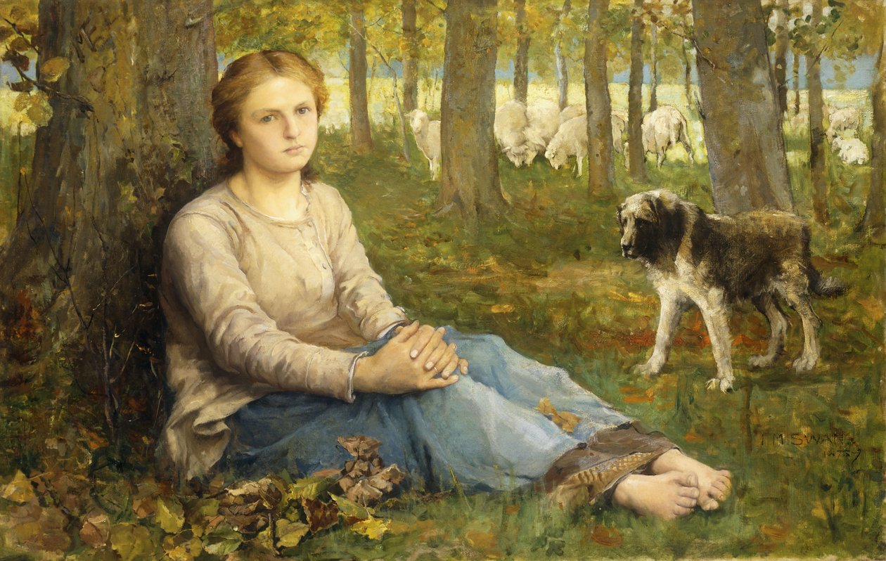 牧羊人和羊群，1878-9 作者 约翰麦卡伦天鹅
