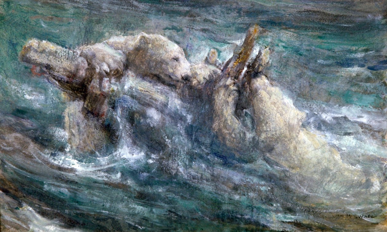 残骸》，约1867-1910年。 作者 约翰麦卡伦天鹅