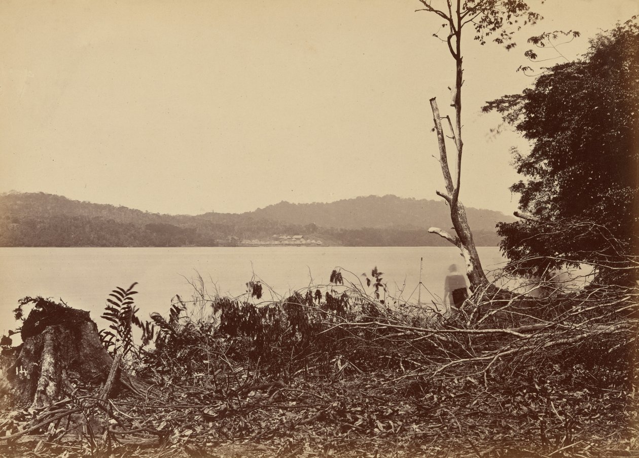 达连港，奇皮加纳，1871 年（照片） 作者 约翰·莫兰