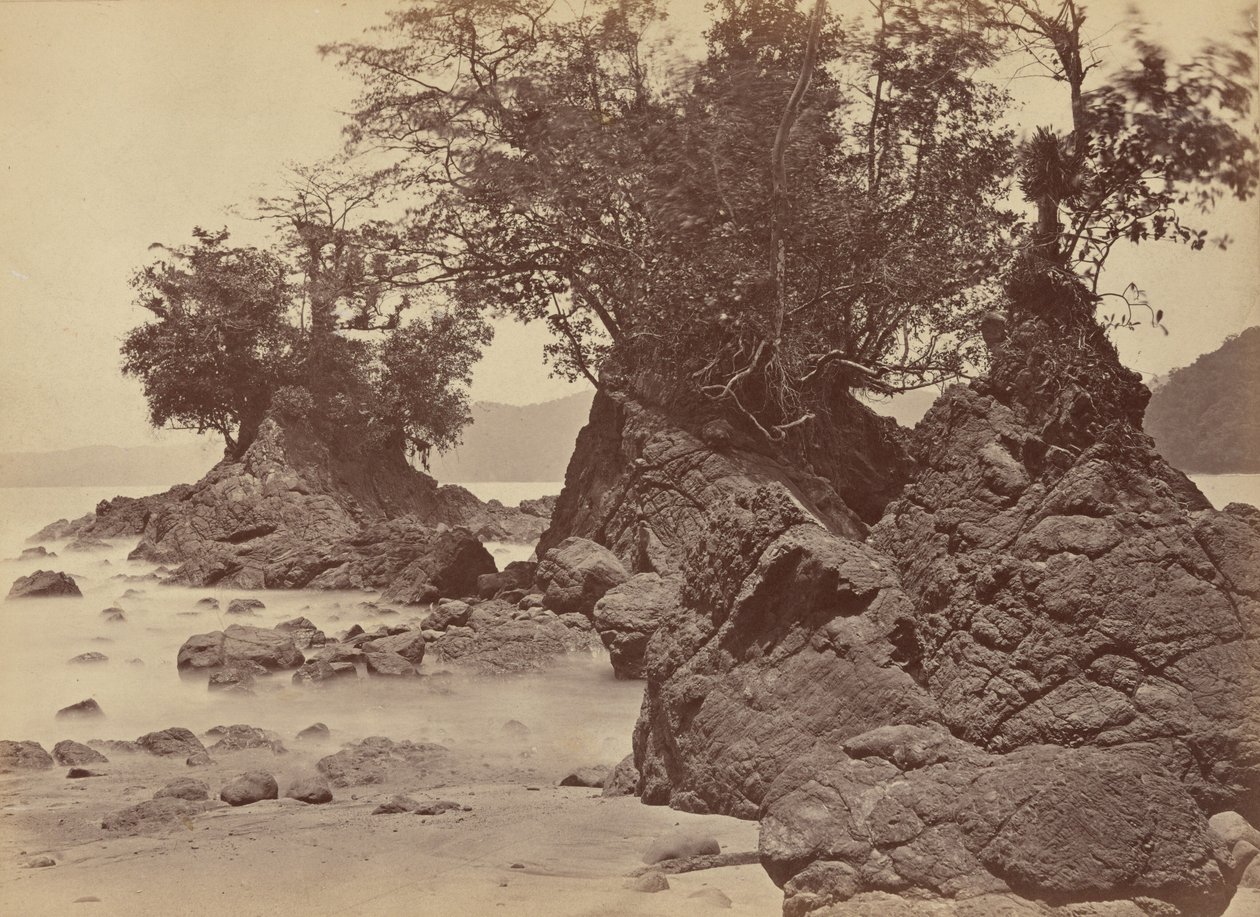 利蒙湾群岛，1871 年（照片） 作者 约翰·莫兰